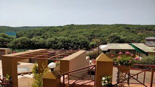 MTDC Mahabaleshwar Resort Review – Is It Worth Staying?